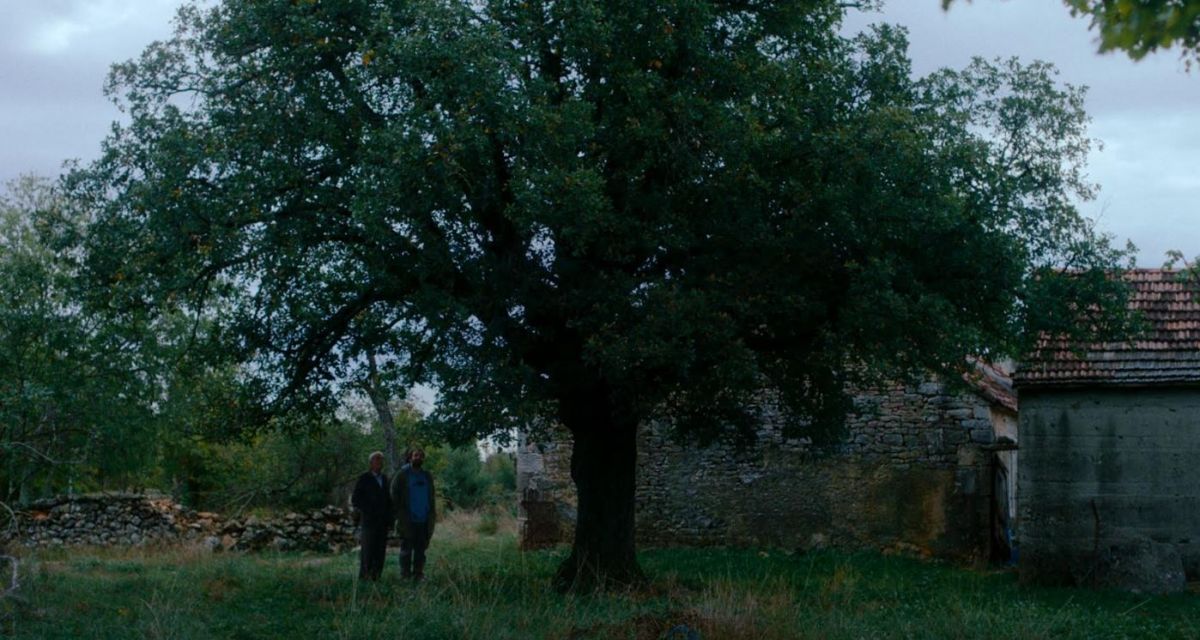 FOTO: Kadar iz Filma Kako je ovde tako zeleno